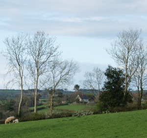 View over the valley towards Twrgwyn Chapel